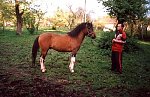 Kliknij by wejść http://images32.fotosik.pl/114/640305ad89e84693m.jpg