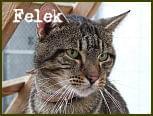 Obrazek