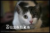 Obrazek