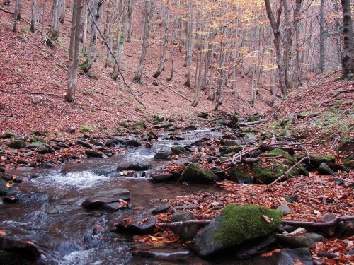 #góry #Bieszczady #jesień