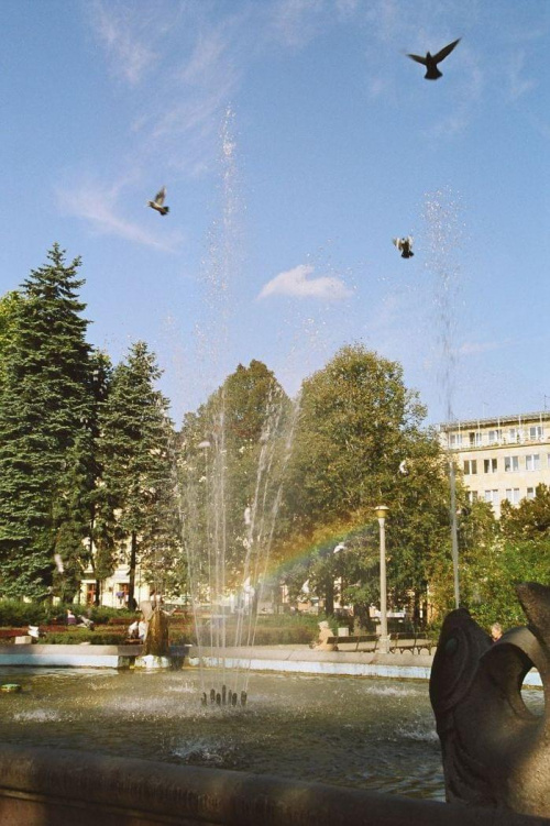 Fontanna w parku Kazimierza Wielkiego