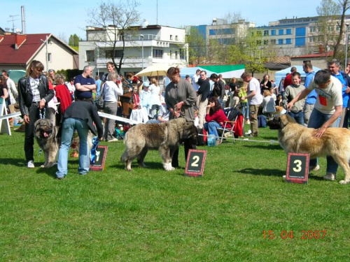 Częstochowa 2007