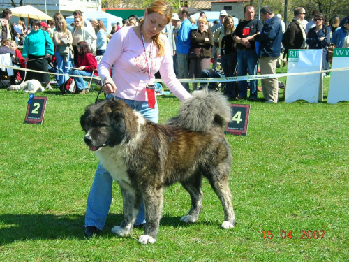 Częstochowa 2007