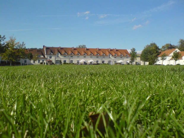 Soczysty, zielony trawnik a na tle ciekawe budowle :) #trawa #zielona #zamek #elegancki #trawiasty #ziemia #lato #wiosna #zieleń
