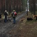 13 stycznia 2008
