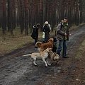 13 stycznia 2008