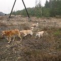 13 stycznia 2008