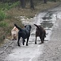 13 stycznia 2008