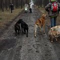 13 stycznia 2008