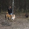 13 stycznia 2008