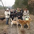 13 stycznia 2008