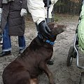 13stycznia 2008