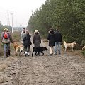 13 stycznia 2008