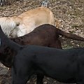13 stycznia 2008