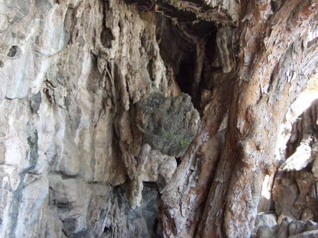 Grutas de Cacahuamilpa (Guerrero, Mexico) #GrutasDeCacahuamilpa