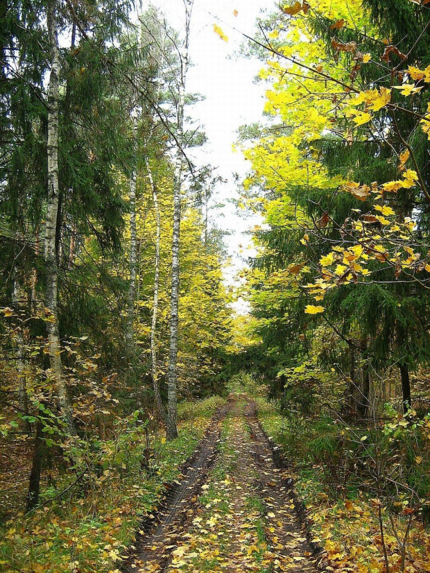 październik 2007