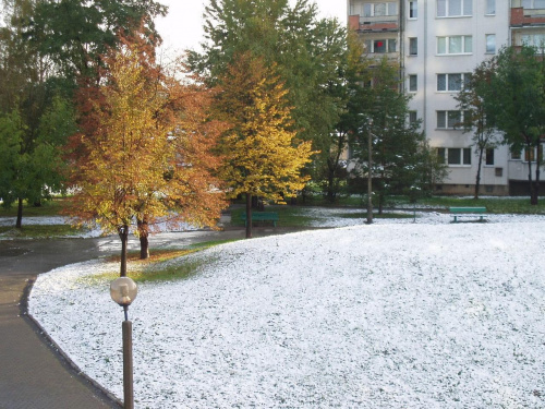 pierwszy śnieg 2007