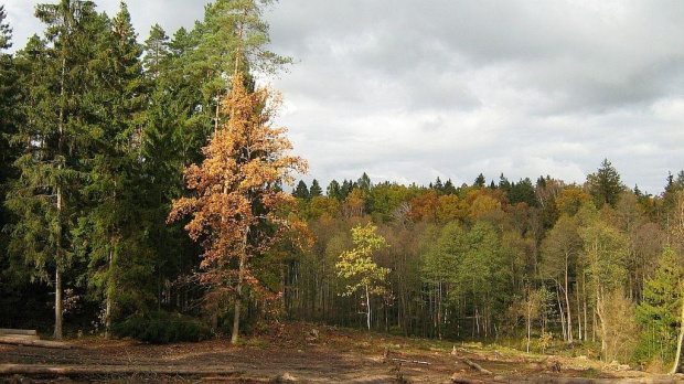 październik 2007