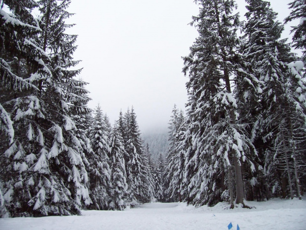 Zakopane