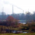 rz.Narew