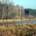 rz.Narew