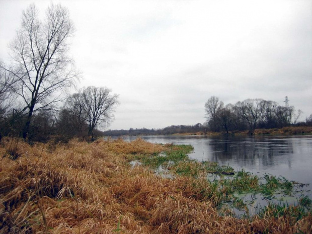 rz.Narew