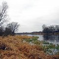 rz.Narew