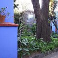 Casa Azul (Museo Frida Kahlo), Coyoacan, Ciudad de México. #MiastoMeksyk #MexicoCity #CasaAzul #FridaKahlo #Coyoacan