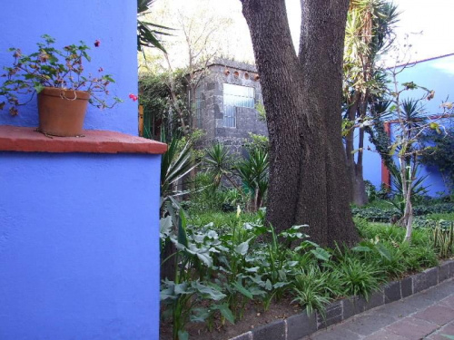 Casa Azul (Museo Frida Kahlo), Coyoacan, Ciudad de México. #MiastoMeksyk #MexicoCity #CasaAzul #FridaKahlo #Coyoacan