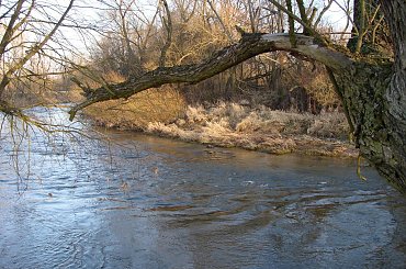 widoki nad Bobrem #Przyroda #widoki #rzeka #woda