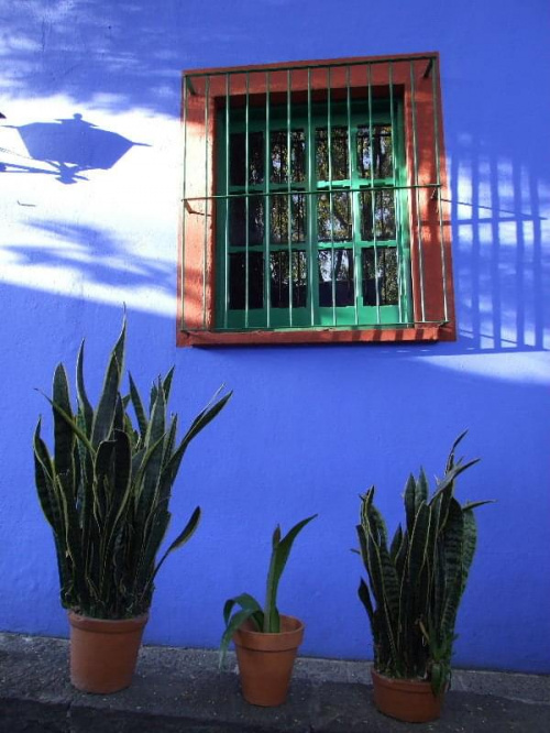 Casa Azul (Museo Frida Kahlo), Coyoacan, Ciudad de México. #MiastoMeksyk #MexicoCity #CasaAzul #FridaKahlo #Coyoacan