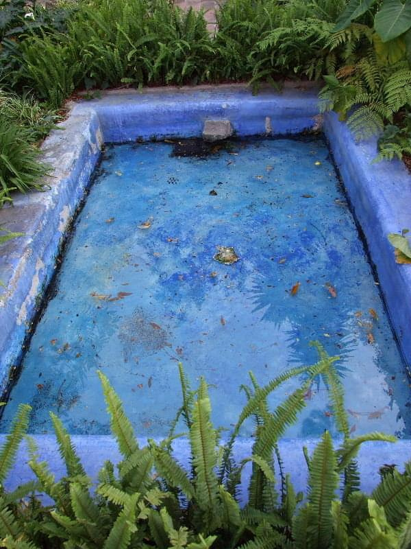 Casa Azul (Museo Frida Kahlo), Coyoacan, Ciudad de México. #MiastoMeksyk #MexicoCity #CasaAzul #FridaKahlo #Coyoacan