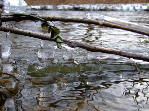 Lód na rzece Łebie ;] #Rzeka #Lód #Zima