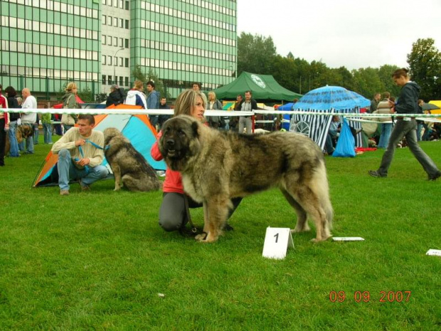 Klubówka 2007