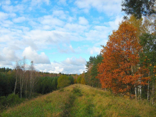 październik 2007