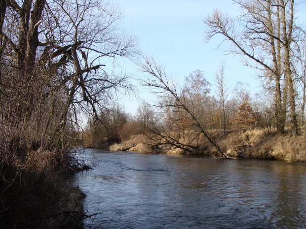 widoki nad Bobrem #Przyroda #widoki #rzeka #woda