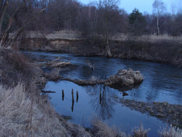 widoki nad Bobrem #Przyroda #widoki #rzeka #woda