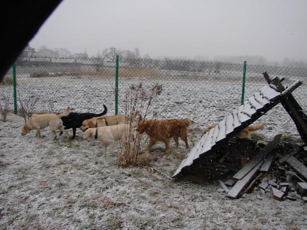 27 stycznia 2008 - Aleksandria k/Częstochowy