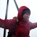 Gonzki smagane wiatrem i deszczem na szczycie Krzyżnej Góry (Rudawy Janowickie)