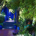 Marrakesz - Jardin Majorelle