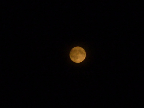 pełnia księżyca #księżyc #noc