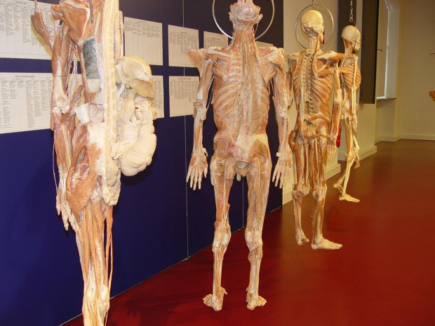 PLASTINARIUM