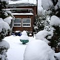 zima w moim ogrodzie
2 lutego 2008 #MojOgrod #Zima2008 #Toronto