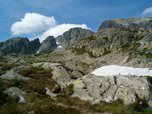 w Dolinie Staroleśnej #Tatry #góry