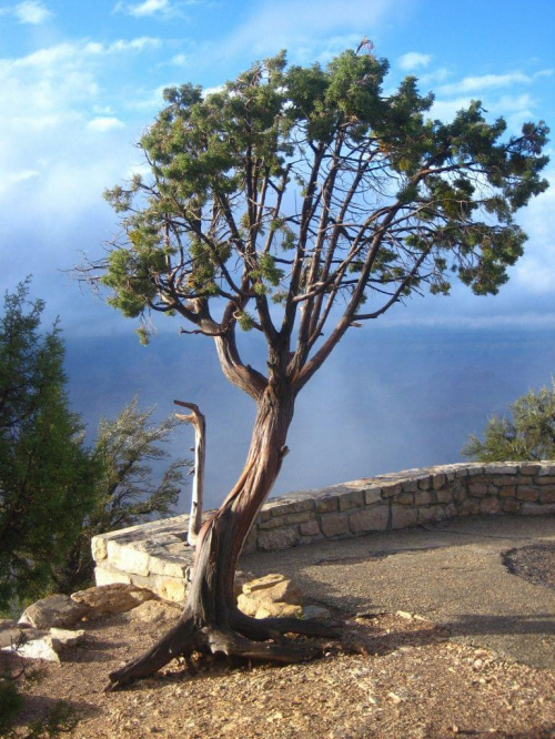 Wielki Kanion Kolorado (Arizona)