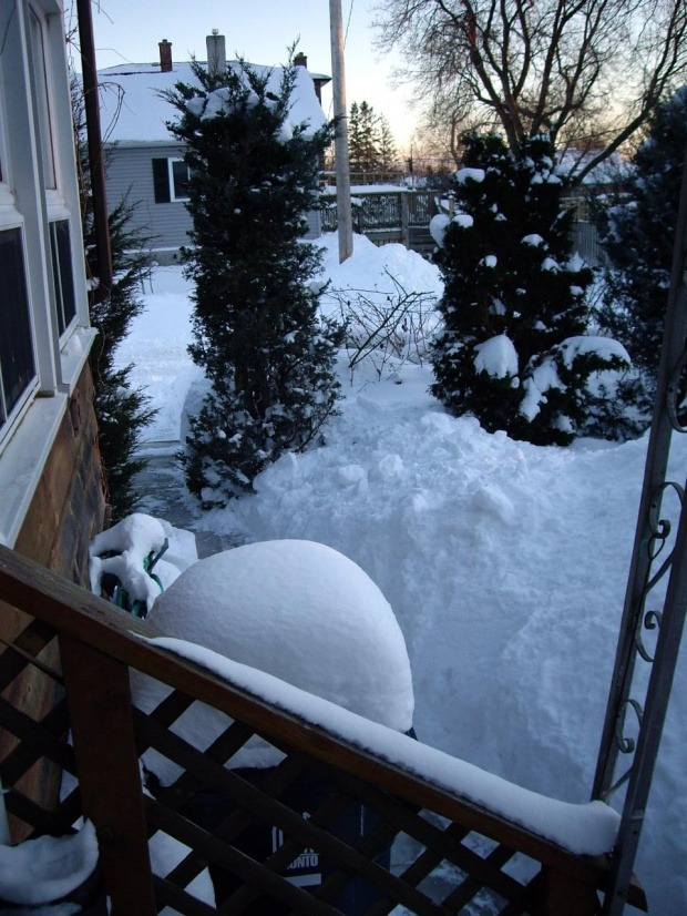 zima - 13 lutego 2008 #Toronto #zima