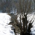 Dolina Sąspowska i Ojców w zimie