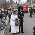 Wodzenie niedźwiedzia