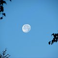 Księżyc zawsze fascynuje. Taki ciężar a wisi sobie w próżni. #Księżyc #niebo #moon