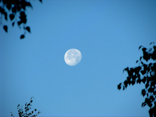 Księżyc zawsze fascynuje. Taki ciężar a wisi sobie w próżni. #Księżyc #niebo #moon
